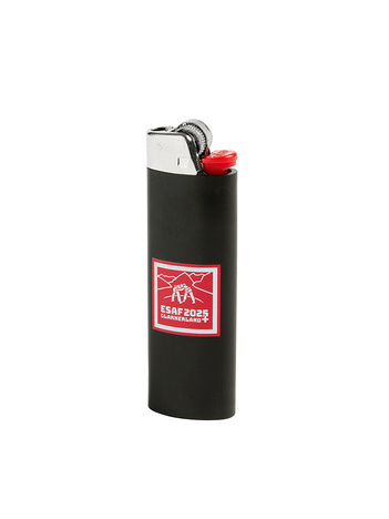 Briquet